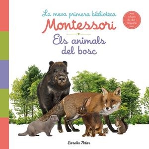 ANIMALS DEL BOSC, ELS. LA MEVA PRIMERA BIBLIOTECA MONTESSORI | 9788413890159 | AA.DD. | Llibreria Drac - Librería de Olot | Comprar libros en catalán y castellano online