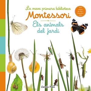 ANIMALS DEL JARDÍ, ELS. LA MEVA PRIMERA BIBLIOTECA MONTESSORI | 9788413890142 | AA.DD. | Llibreria Drac - Librería de Olot | Comprar libros en catalán y castellano online