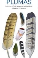 PLUMAS  (GUIAS DESPLEGABLES TUNDRA) | 9788418458057 | HERNANDEZ,VICTOR J | Llibreria Drac - Librería de Olot | Comprar libros en catalán y castellano online