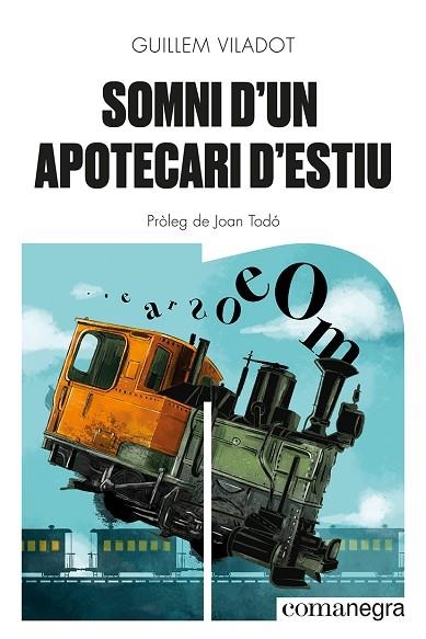 SOMNI D'UN APOTECARI D'ESTIU | 9788418857645 | VILADOT, GUILLEM | Llibreria Drac - Librería de Olot | Comprar libros en catalán y castellano online