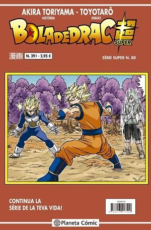 BOLA DE DRAC SÈRIE VERMELLA Nº 291 | 9788491746270 | TORIYAMA, AKIRA | Llibreria Drac - Librería de Olot | Comprar libros en catalán y castellano online