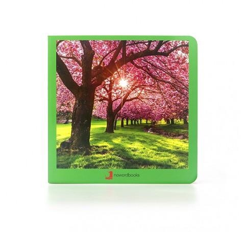 PRIMAVERA | 9788412171006 | AA.VV. | Llibreria Drac - Librería de Olot | Comprar libros en catalán y castellano online