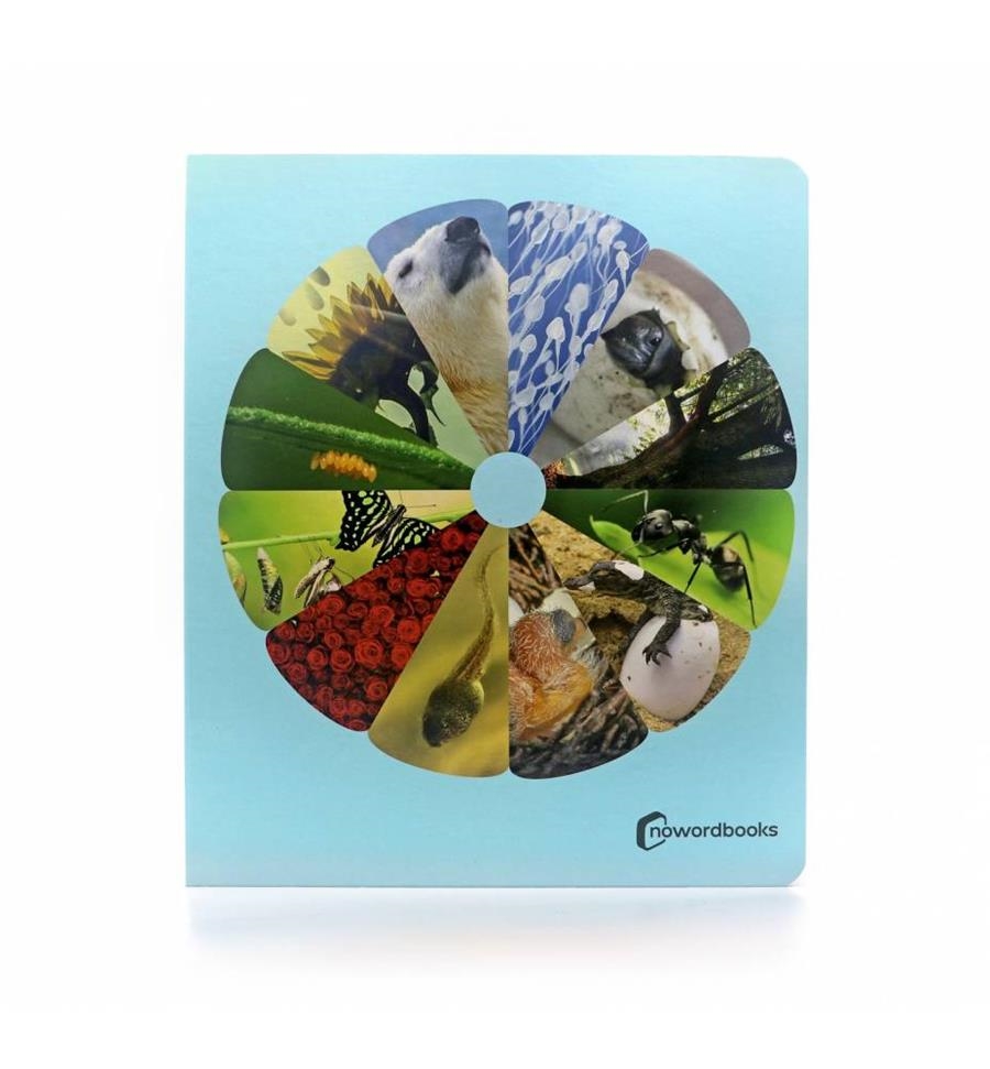 CICLES DE LA VIDA, ELS | 9788412344530 | AA.VV. | Llibreria Drac - Librería de Olot | Comprar libros en catalán y castellano online