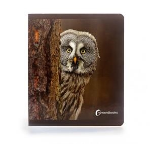 ANIMALS DEL BOSC | 9788412344578 | AA.DD. | Llibreria Drac - Llibreria d'Olot | Comprar llibres en català i castellà online