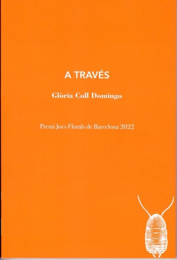 A TRAVÉS | 9788412457599 | COLL DOMINGO, GLÒRIA | Llibreria Drac - Librería de Olot | Comprar libros en catalán y castellano online