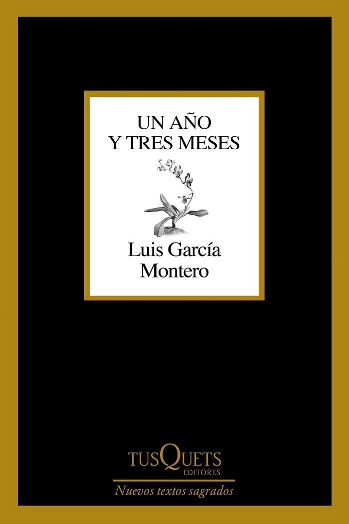 UN AÑO Y TRES MESES | 9788411071475 | GARCÍA MONTERO, LUIS | Llibreria Drac - Librería de Olot | Comprar libros en catalán y castellano online