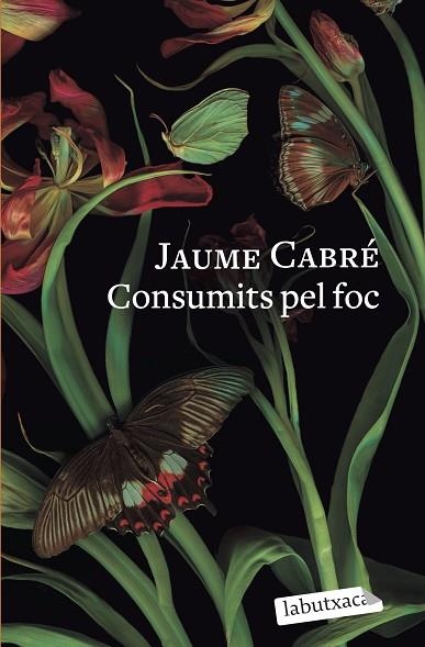 CONSUMITS PEL FOC | 9788419107206 | CABRÉ, JAUME | Llibreria Drac - Librería de Olot | Comprar libros en catalán y castellano online
