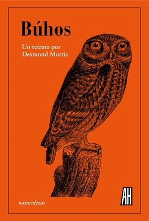 BÚHOS | 9788412403381 | MORRIS, DESMOND | Llibreria Drac - Llibreria d'Olot | Comprar llibres en català i castellà online