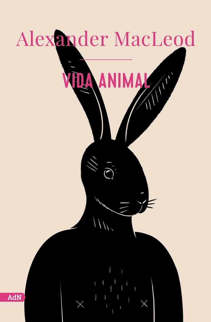 VIDA ANIMAL (ADN) | 9788413629520 | MACLEOD, ALEXANDER | Llibreria Drac - Librería de Olot | Comprar libros en catalán y castellano online
