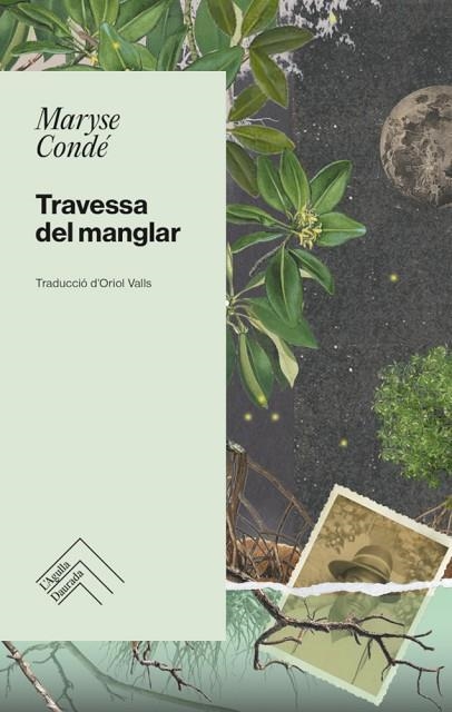 TRAVESSA DEL MANGLAR | 9788419515001 | CONDÉ, MARYSE | Llibreria Drac - Librería de Olot | Comprar libros en catalán y castellano online