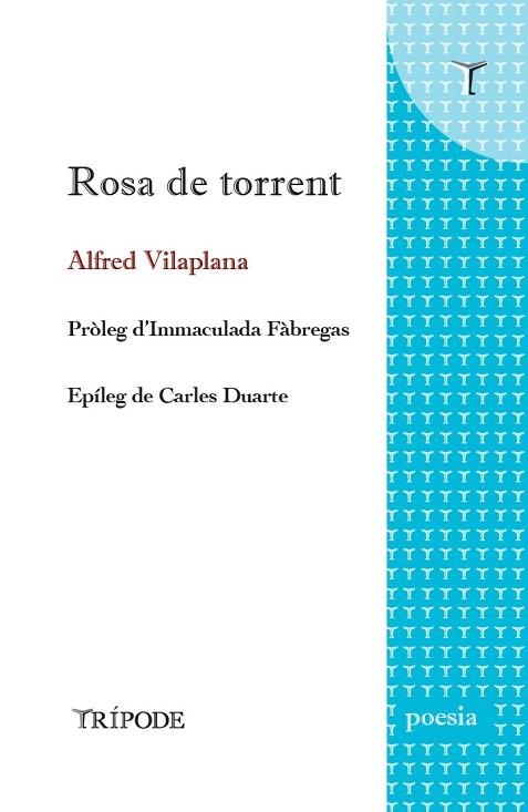 ROSA DE TORRENT | 9788412392012 | VILAPLANA, ALFRED | Llibreria Drac - Llibreria d'Olot | Comprar llibres en català i castellà online
