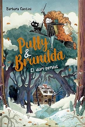 DIARI PERDUT, EL (PUFFY I BRUNILDA 2) | 9788424673864 | CANTINI, BARBARA | Llibreria Drac - Llibreria d'Olot | Comprar llibres en català i castellà online