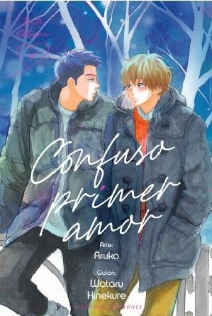 CONFUSO PRIMER AMOR 4 | 9788419195739 | ARUKO; HINEKURE,WATARU | Llibreria Drac - Librería de Olot | Comprar libros en catalán y castellano online
