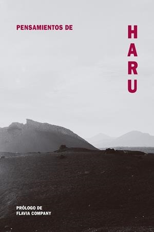 PENSAMIENTOS DE HARU | 9788418223495 | COMPANY, FLAVIA | Llibreria Drac - Llibreria d'Olot | Comprar llibres en català i castellà online