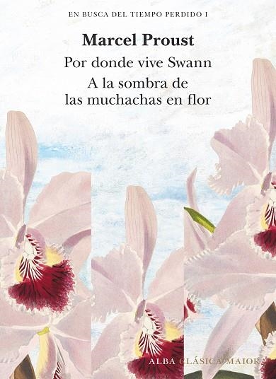 EN BUSCA DEL TIEMPO PERDIDO, VOL. 1 | 9788490659229 | PROUST, MARCEL | Llibreria Drac - Llibreria d'Olot | Comprar llibres en català i castellà online