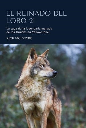 REINADO DEL LOBO 21, EL | 9788412566321 | MCINTYRE, RICK | Llibreria Drac - Llibreria d'Olot | Comprar llibres en català i castellà online