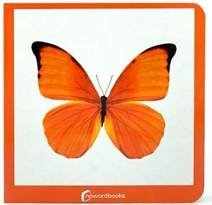 NARANJA | 9788412534443 | NOWORDBOOKS | Llibreria Drac - Llibreria d'Olot | Comprar llibres en català i castellà online