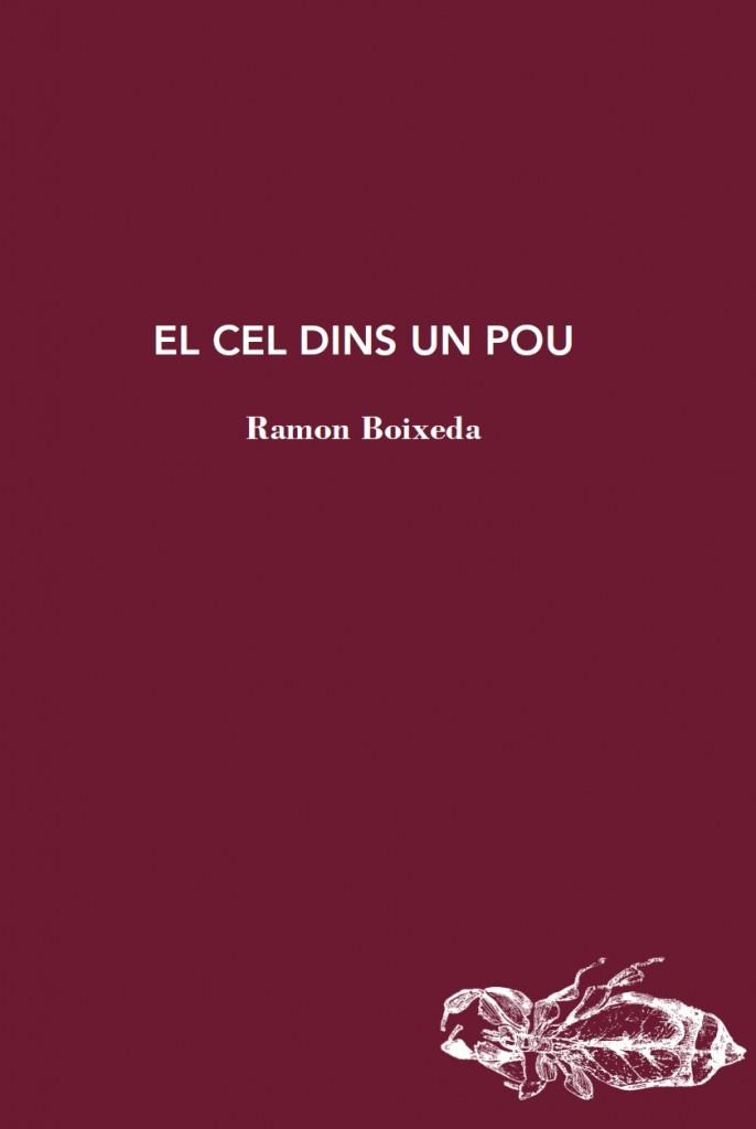 CEL DINS UN POU, EL | 9788412577464 | BOIXEDA, RAMON | Llibreria Drac - Librería de Olot | Comprar libros en catalán y castellano online