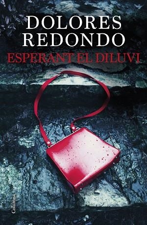 ESPERANT EL DILUVI | 9788466429849 | REDONDO, DOLORES | Llibreria Drac - Librería de Olot | Comprar libros en catalán y castellano online