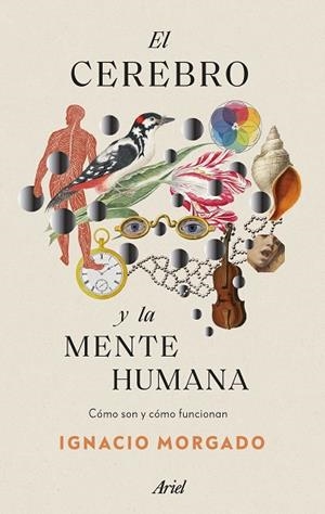 CEREBRO Y LA MENTE HUMANA, EL | 9788434435988 | MORGADO, IGNACIO | Llibreria Drac - Librería de Olot | Comprar libros en catalán y castellano online
