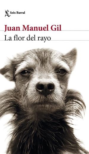 FLOR DEL RAYO, LA | 9788432241574 | GIL, JUAN MANUEL | Llibreria Drac - Llibreria d'Olot | Comprar llibres en català i castellà online