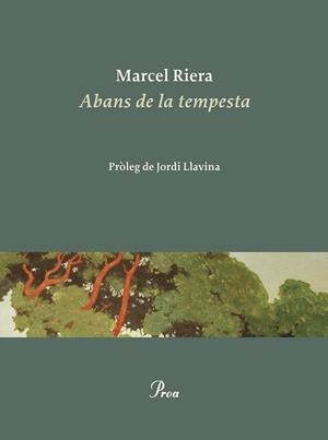 ABANS DE LA TEMPESTA | 9788475889900 | RIERA, MARCEL | Llibreria Drac - Llibreria d'Olot | Comprar llibres en català i castellà online
