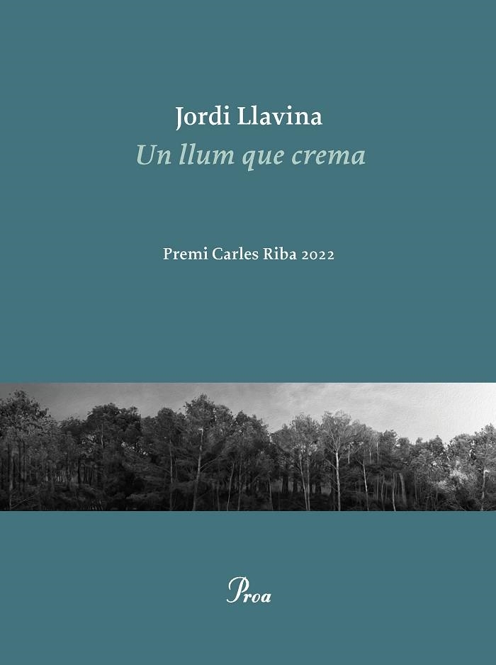 LLUM QUE CREMA, UN (PREMI CARLES RIBA DE POESIA 2022) | 9788475889979 | LLAVINA, JORDI | Llibreria Drac - Librería de Olot | Comprar libros en catalán y castellano online