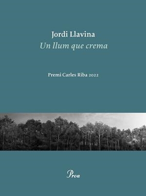 LLUM QUE CREMA, UN (PREMI CARLES RIBA DE POESIA 2022) | 9788475889979 | LLAVINA, JORDI | Llibreria Drac - Llibreria d'Olot | Comprar llibres en català i castellà online