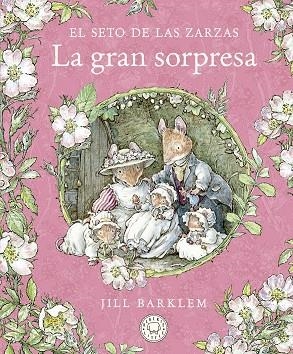 GRAN SORPRESA, LA | 9788418733666 | BARKLEM, JILL | Llibreria Drac - Librería de Olot | Comprar libros en catalán y castellano online