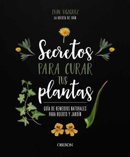 SECRETOS PARA CURAR TUS PLANTAS | 9788441547162 | VÁZQUEZ MUÑOZ, IVÁN | Llibreria Drac - Llibreria d'Olot | Comprar llibres en català i castellà online