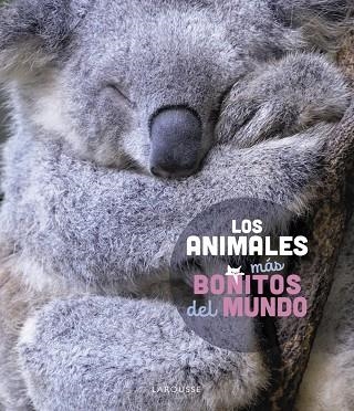ANIMALES MÁS BONITOS DEL MUNDO, LOS | 9788419436177 | LEDU, STÉPHANIE | Llibreria Drac - Librería de Olot | Comprar libros en catalán y castellano online