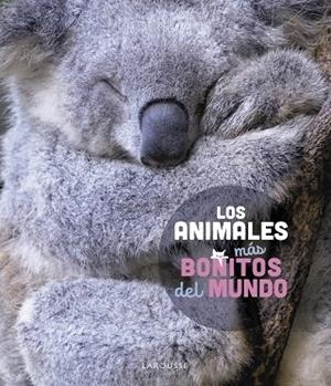 ANIMALES MÁS BONITOS DEL MUNDO, LOS | 9788419436177 | LEDU, STÉPHANIE | Llibreria Drac - Llibreria d'Olot | Comprar llibres en català i castellà online