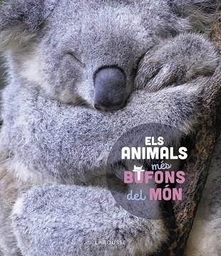 ANIMALS MÉS BUFONS DEL MÓN, ELS | 9788419436184 | LEDU, STÉPHANIE | Llibreria Drac - Librería de Olot | Comprar libros en catalán y castellano online