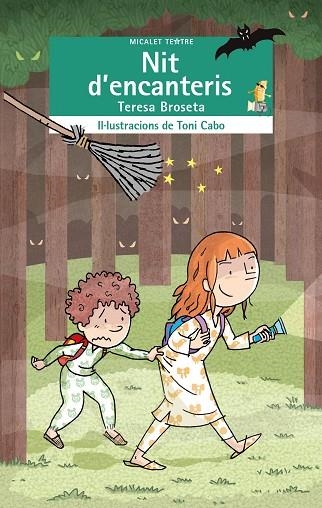 NIT D'ENCANTERIS | 9788413584201 | BROSETA, TERESA | Llibreria Drac - Librería de Olot | Comprar libros en catalán y castellano online