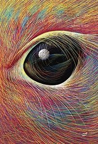 IDEES SÓN CRIATURES ESTRANYES, LES | 9788418702570 | SIMLER, ISABELLE | Llibreria Drac - Librería de Olot | Comprar libros en catalán y castellano online