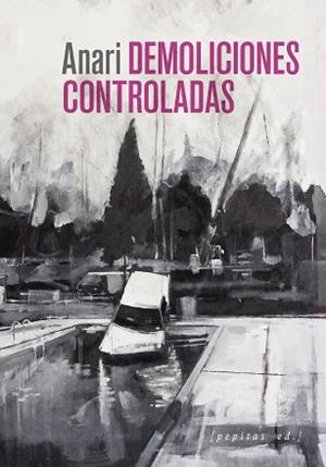 DEMOLICIONES CONTROLADAS | 9788418998294 | ALBERDI, ANARI | Llibreria Drac - Librería de Olot | Comprar libros en catalán y castellano online