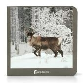 ANIMALES POLARES | ANIMALS POLARS | 9788412534474 | NOWORDBOOKS | Llibreria Drac - Librería de Olot | Comprar libros en catalán y castellano online
