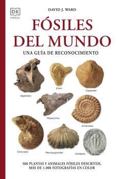 FÓSILES DEL MUNDO | 9788428217569 | WARD, DAVID J. | Llibreria Drac - Librería de Olot | Comprar libros en catalán y castellano online