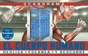SCANORAMA. EL CUERPO HUMANO | 9788469667620 | CLAYBOURNE, ANNA | Llibreria Drac - Librería de Olot | Comprar libros en catalán y castellano online