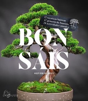 BONSÁIS | 9788419436610 | SAMSON, RÉMY; SAMSON, ISABELLE | Llibreria Drac - Librería de Olot | Comprar libros en catalán y castellano online