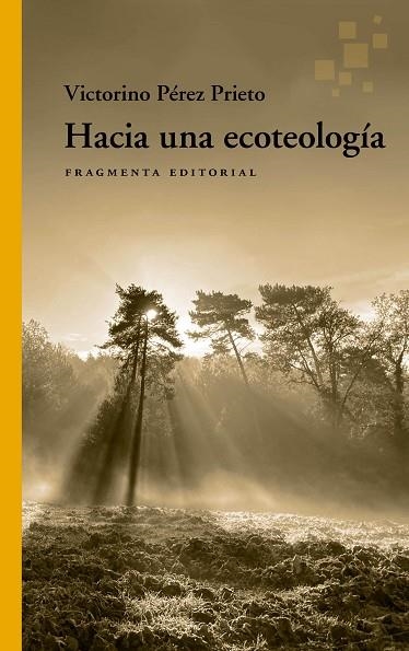 HACIA UNA ECOTEOLOGÍA | 9788417796815 | PÉREZ PRIETO, VICTORINO | Llibreria Drac - Librería de Olot | Comprar libros en catalán y castellano online