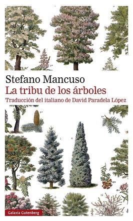 TRIBU DE LOS ÁRBOLES, LA | 9788419392510 | MANCUSO, STEFANO | Llibreria Drac - Librería de Olot | Comprar libros en catalán y castellano online