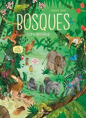 BOSQUES... Y CÓMO PROTEGERLOS | 9788419158307 | THOMAS, AMANDINE | Llibreria Drac - Librería de Olot | Comprar libros en catalán y castellano online