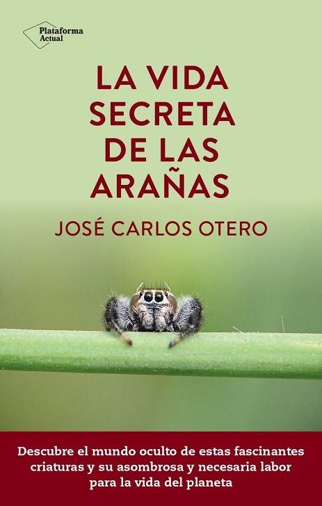 VIDA SECRETA DE LAS ARAÑAS, LA | 9788419655189 | OTERO, JOSÉ CARLOS | Llibreria Drac - Librería de Olot | Comprar libros en catalán y castellano online