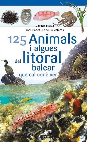 125 ANIMALS I ALGUES DEL LITORAL BALEAR QUE CAL CONÈIXER | 9788413562704 | BALLESTEROS SAGARRA, ENRIC | Llibreria Drac - Librería de Olot | Comprar libros en catalán y castellano online