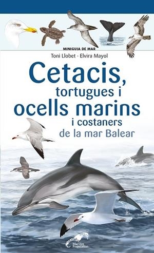 CETACIS, TORTUGUES I OCELLS MARINS I COSTANERS DE LA MAR BALEAR | 9788413562735 | MAYOL, ELVIRA | Llibreria Drac - Librería de Olot | Comprar libros en catalán y castellano online