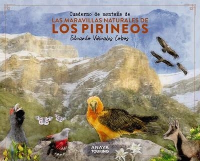 CUADERNO DE MONTAÑA DE LAS MARAVILLAS NATURALES DE LOS PIRINEOS | 9788491586036 | VIÑUALES, EDUARDO | Llibreria Drac - Librería de Olot | Comprar libros en catalán y castellano online