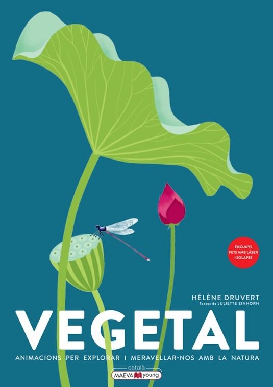 VEGETAL: ANIMACIONS PER EXPLORAR I MERAVELLAR-NOS AMB LA NATURA | 9788419110886 | DRUVERT, HÉLÈNE | Llibreria Drac - Librería de Olot | Comprar libros en catalán y castellano online