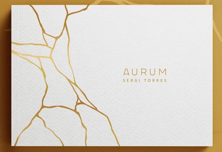 AURUM | 9788409480173 | TORRES BALDÓ, SERGI | Llibreria Drac - Librería de Olot | Comprar libros en catalán y castellano online