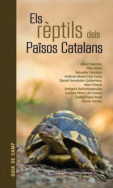 RÈPTILS DELS PAÏSOS CATALANS, ELS | 9788418096570 | AA.DD. | Llibreria Drac - Librería de Olot | Comprar libros en catalán y castellano online